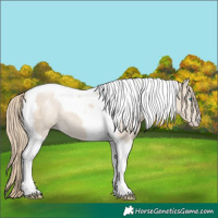 Horse Color:Smoky Creme Tobiano Rabicano