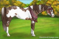 Horse Color:White Spotted Liver Chestnut Ice Frame 