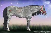 Horse Color:Black Ice 