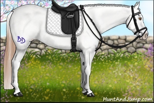 Horse Color:Brown Pearl Blanket Rabicano