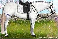 Horse Color:Brown Pearl Blanket Rabicano 