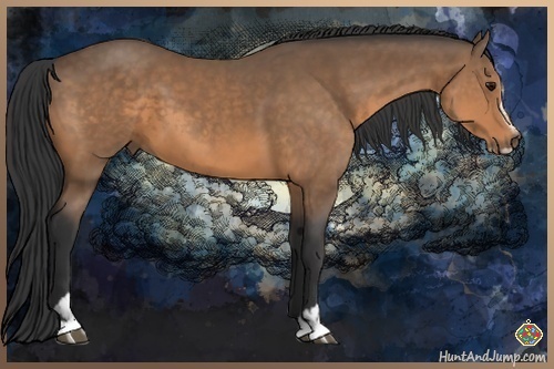 Horse Color:Buckskin Sabino