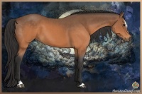 Horse Color:Buckskin Sabino