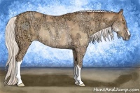 Horse Color:Silver Amber Champagne Ice Rabicano  and Silver Amber Champagne Ice Rabicano 
