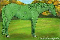 Horse Color:ERROR: UNKNOWN ANOMALY