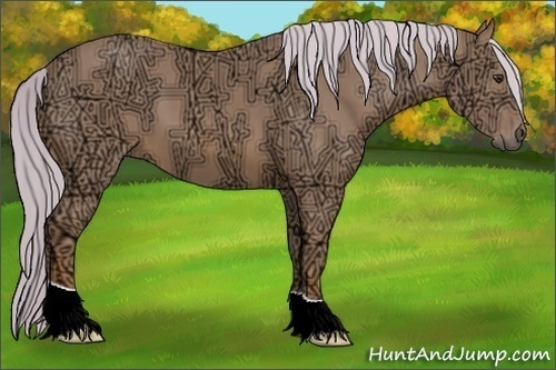 Horse Color:Watercolor Chestnut Ice 
