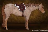 Horse Color:Red Roan 