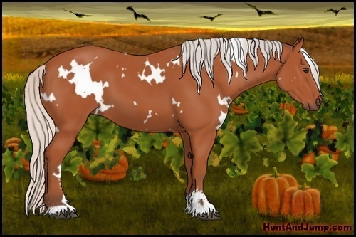 Horse Color:White Spotted Silver Bay Sabino