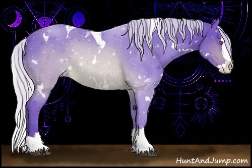 Horse Color:Watercolor White Spotted Silver Brown Chinchilla Splash Rabicano 