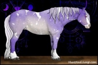 Horse Color:Watercolor White Spotted Silver Brown Chinchilla Splash Rabicano