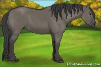 Horse Color:Smoky Grullo