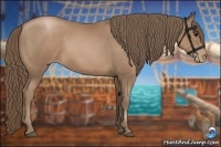 Horse Color:Black Pearl