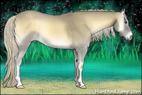 Horse Color:Palomino Roan Onyx 