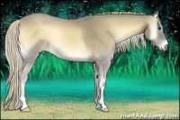 Horse Color:Palomino Roan Onyx