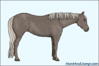 Horse Color:Silver Black