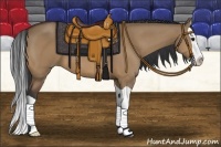 Horse Color:Bay Dun Splash 