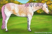 Horse Color:Watercolor White Spotted Bay Ice 