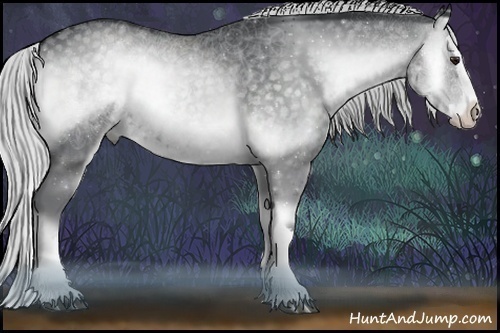 Horse Color:Silver Blue Onyx Chinchilla Sabino Splash 