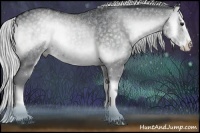 Horse Color:Silver Blue Onyx Chinchilla Sabino Splash