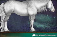 Horse Color:Silver Blue Onyx Chinchilla Sabino Splash 