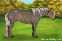 Horse Color:Silver Black Rabicano