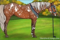 Horse Color:White Spotted Silver Bay Ice