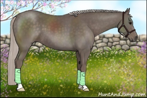 Horse Color:Silver Black 