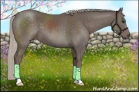 Horse Color:Silver Black 