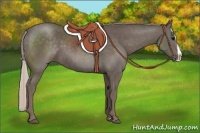 Horse Color:Silver Black Splash 