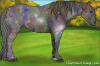 Horse Color:Nacre Black 