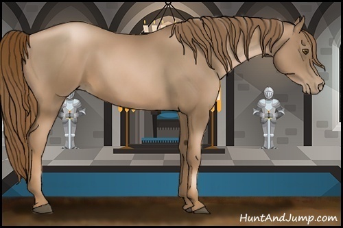 Horse Color:Liver Chestnut Pearl 