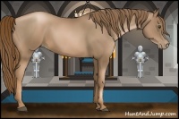 Horse Color:Liver Chestnut Pearl 