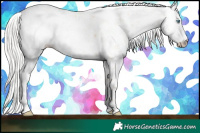 Horse Color:Silver Classic Champagne Pearl Sabino Rabicano