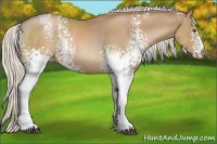 Horse Color:White Spotted Silver Black Pearl 