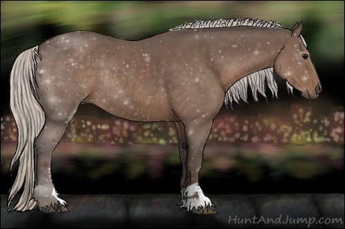 Horse Color:Silver Black Sabino Rabicano 