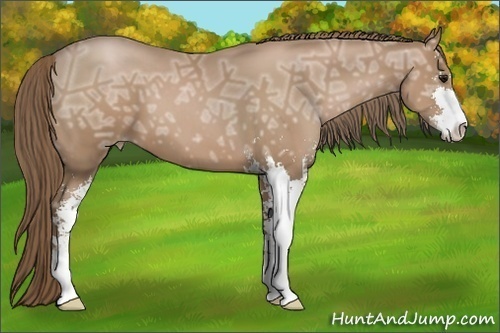 Horse Color:Black Ice Pearl Sabino