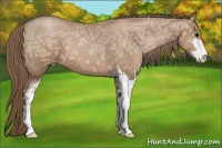 Horse Color:Black Ice Pearl Sabino 