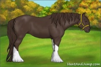 Horse Color:Liver Chestnut Tobiano 