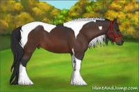 Horse Color:Bay Tobiano