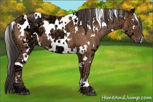 Horse Color:White Spotted Buckskin Ice