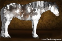 Horse Color:White Spotted Brown Ice Splash 