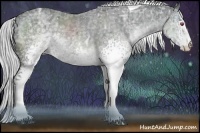 Horse Color:White Spotted Silver Black Chinchilla Ice Tobiano