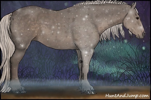 Horse Color:Silver Black 