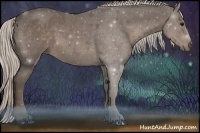 Horse Color:Silver Black 