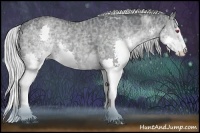 Horse Color:White Spotted Silver Black Chinchilla Ice Splash 