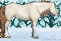 Horse Color:Smoky Grullo Ice Pearl Tobiano Rabicano