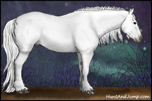 Horse Color:Gray Watercolor White Spotted Silver Black Ice Sabino 