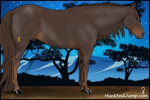 Horse Color:Liver Chestnut 