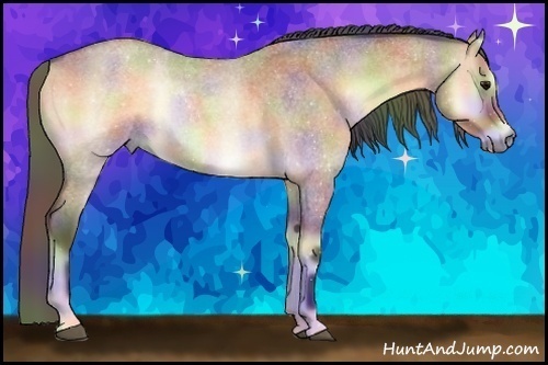 Horse Color:Nacre Bay Roan Onyx