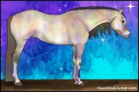 Horse Color:Nacre Bay Roan Onyx